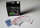 Lubor Fiedler Chameleon Cards Plus 2014